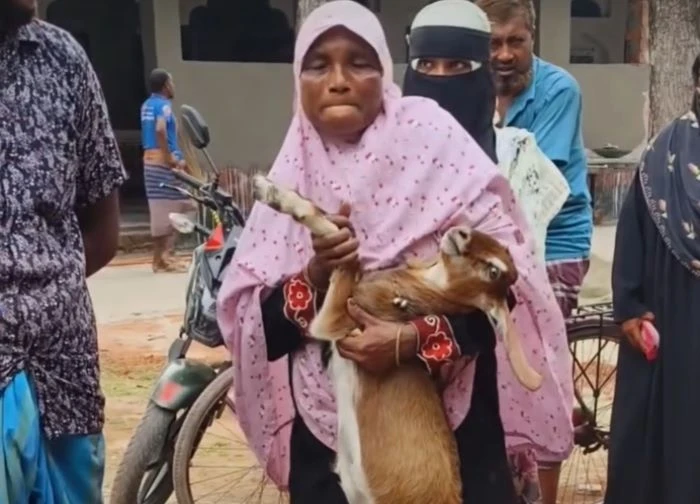 প্রতিবেশীর লাঠির আঘাতে ছাগল আহত সাথে নিয়ে থানায় নারীর অভিযোগ